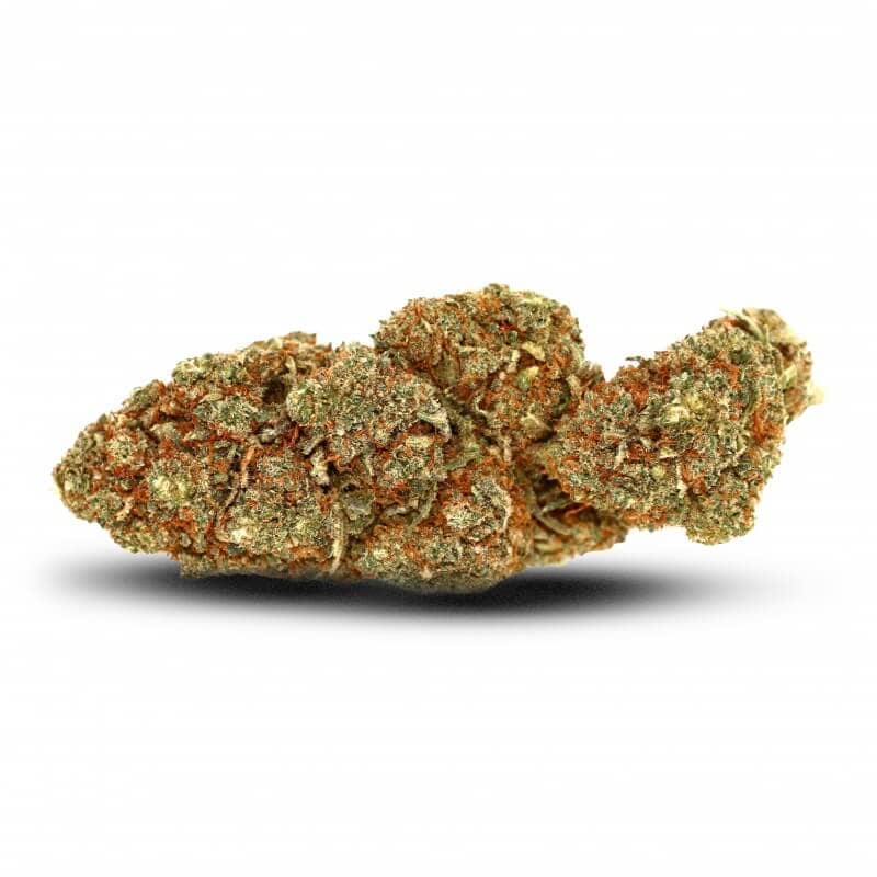Og Kush CBD