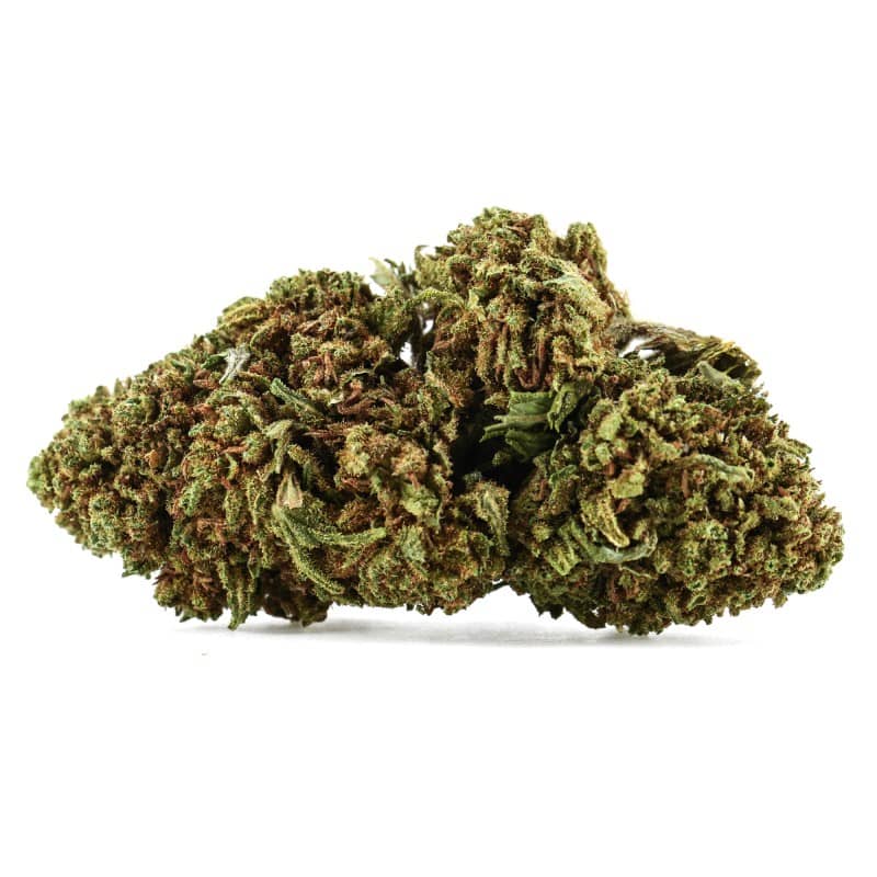 Orange Bud CBD