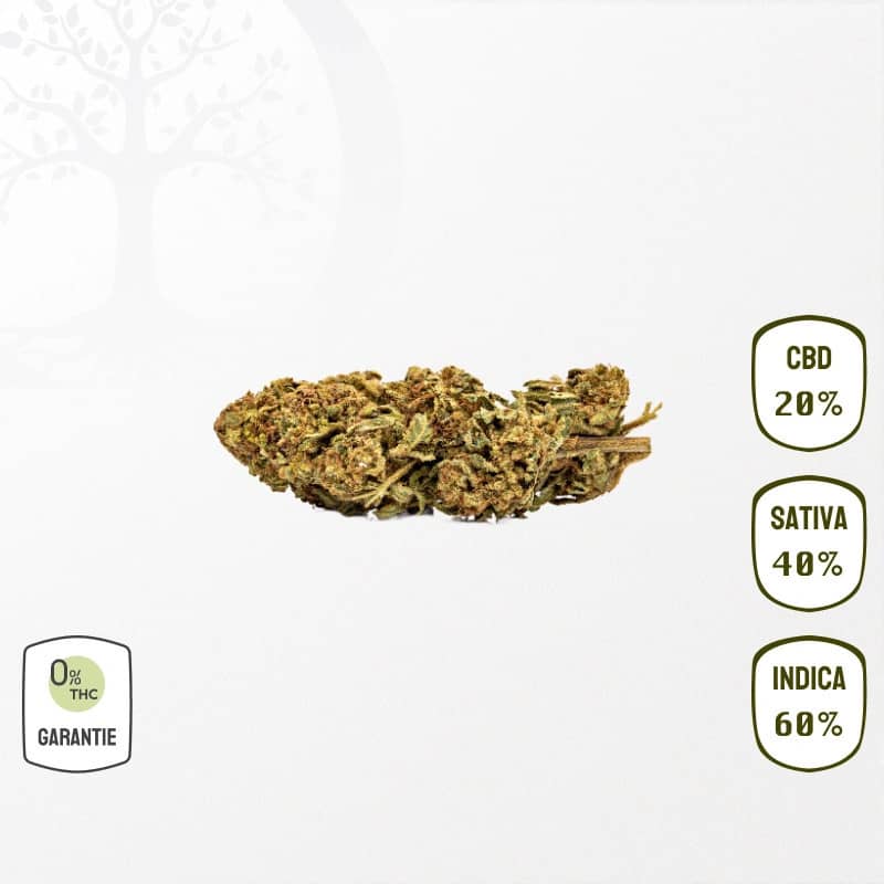Lemon Berry 20 % CBD (Sans THC)