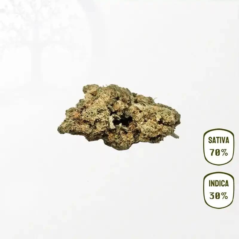 Lemon Haze CBD