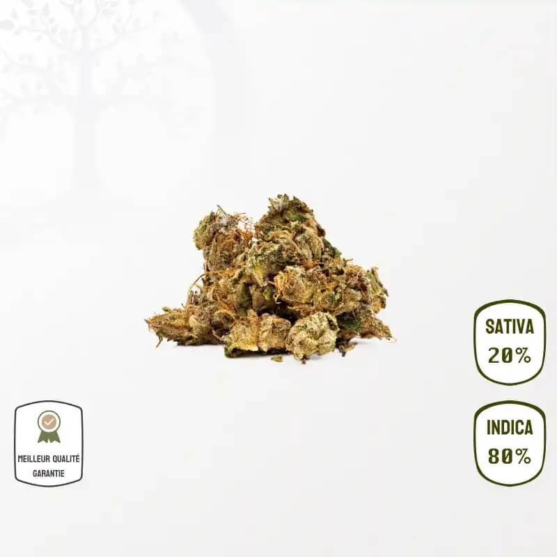 Shiva Skunk Small Bud CBD – Indoor