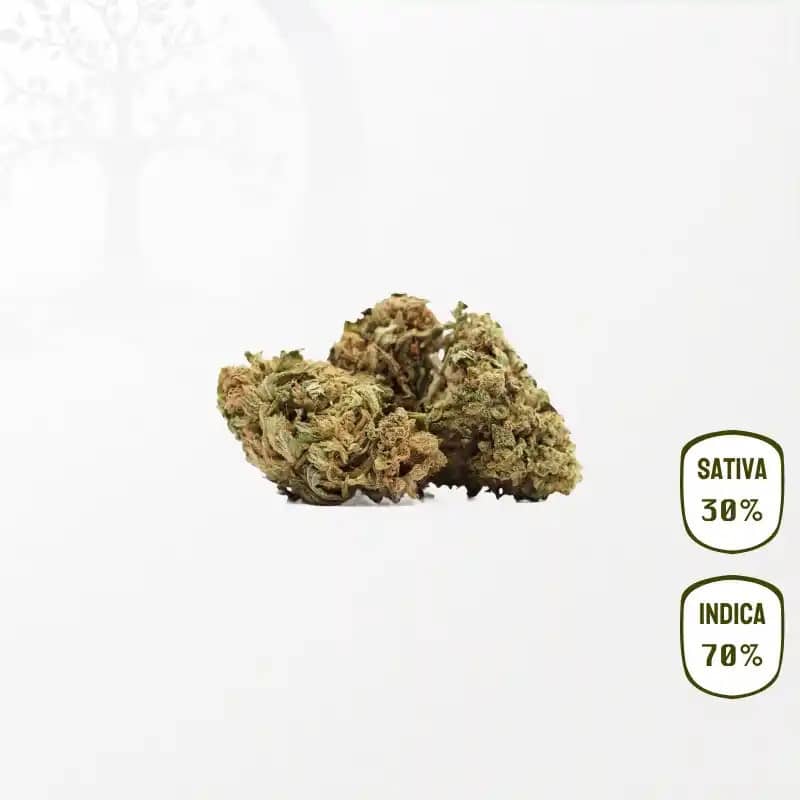 Slurricane CBD