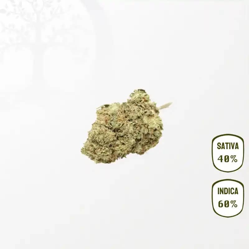 Hawaiian Skunk CBD