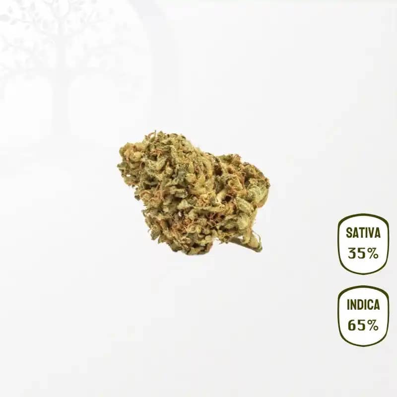 Honey Cream CBD