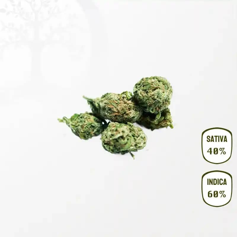 Banana Kush CBD 25 grammes