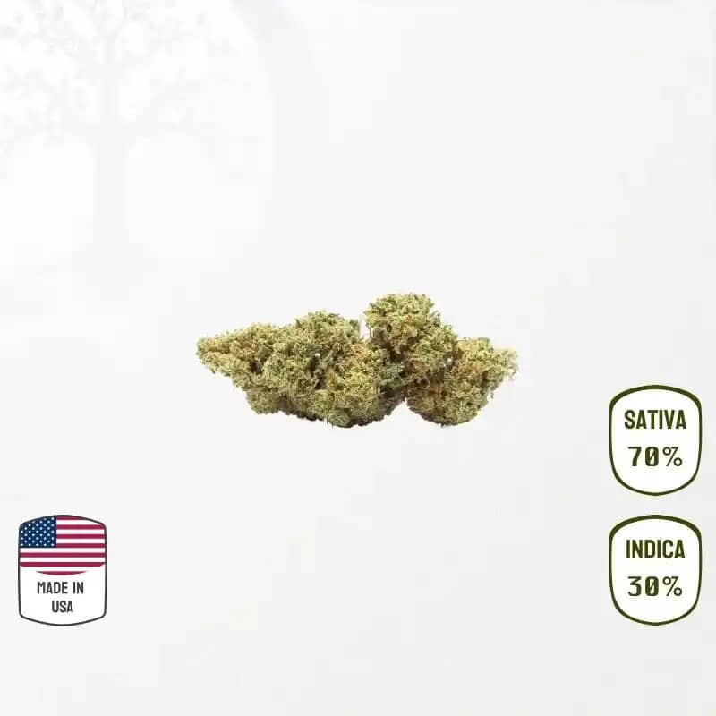 California Haze USA CBD