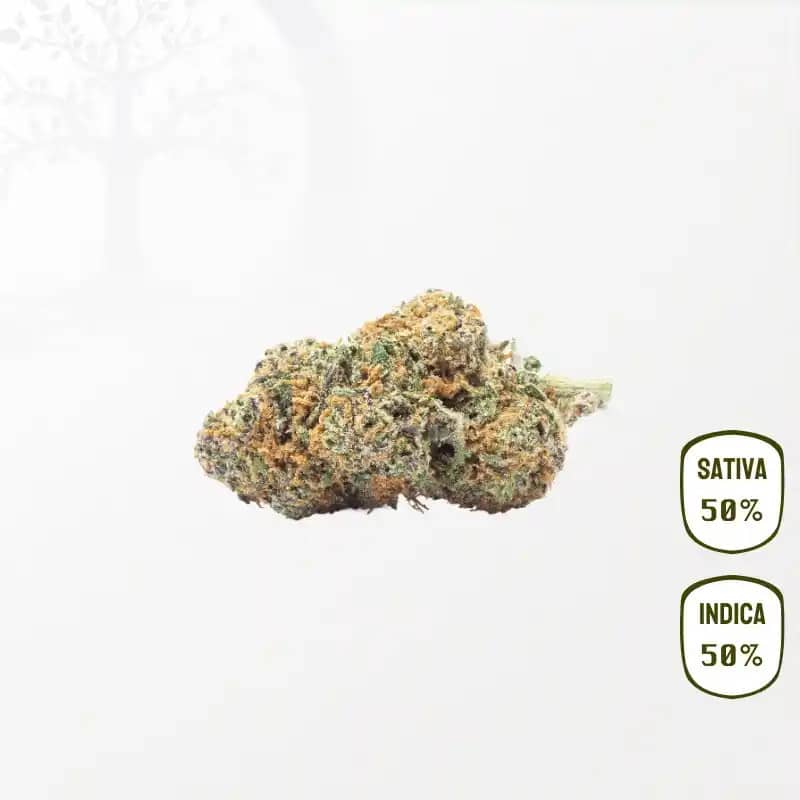 White Frost CBD