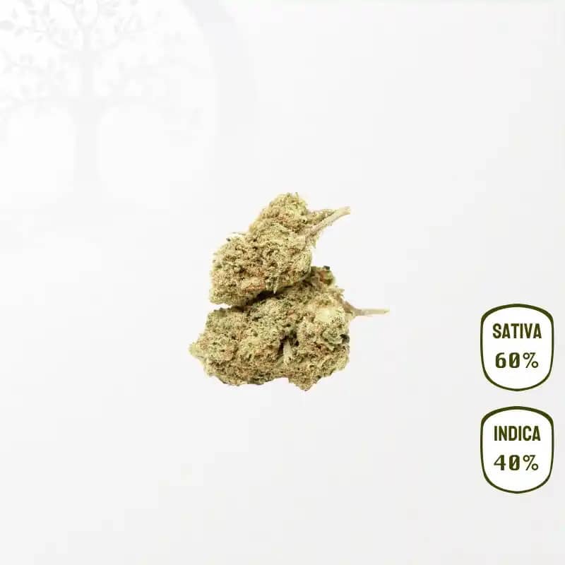 Fruit Spirit CBD