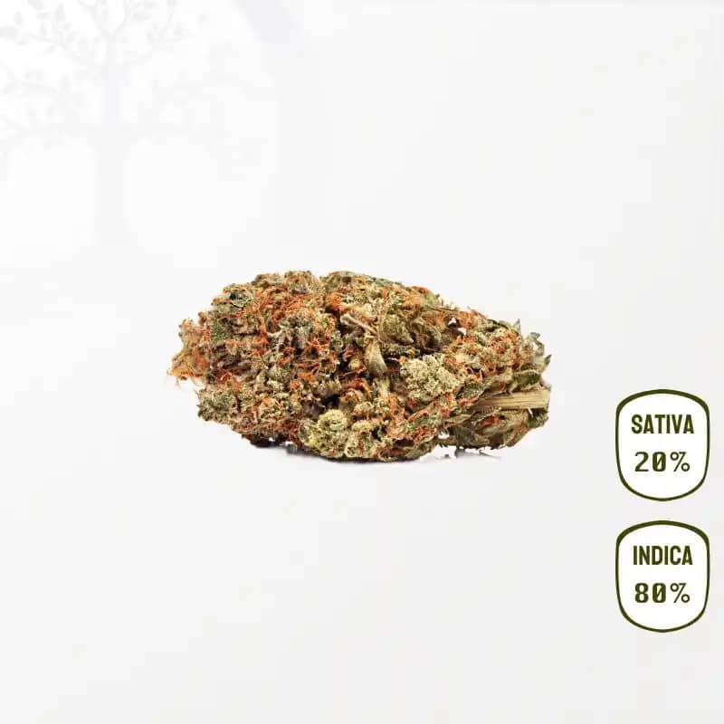 White Widow Haze CBD