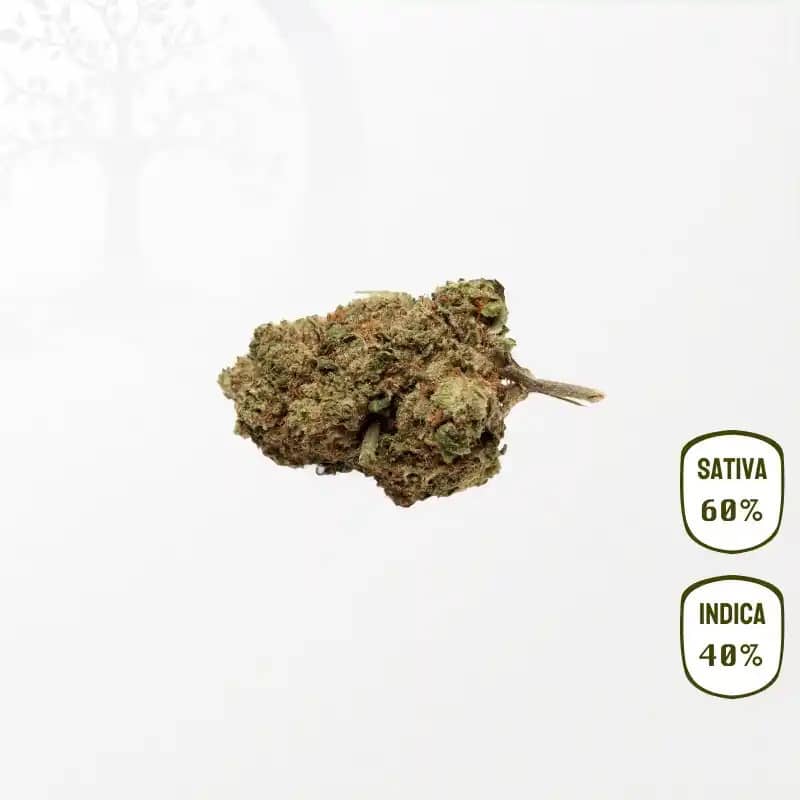 Lemon Candy CBD