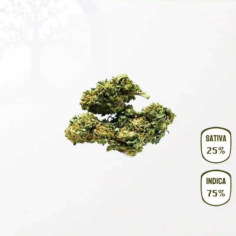 Og Kush CBD 25 grammes
