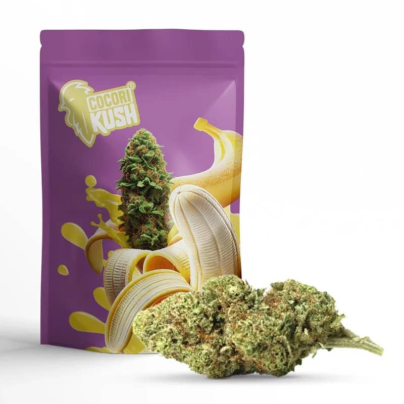 BANANA KUSH FLEUR COCORIKUSH CBD | Sixty8