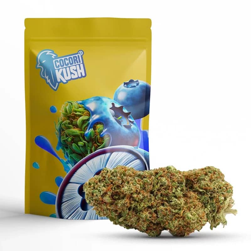 BLUEBERRY MUFFIN FLEUR COCORIKUSH CBD en ligne | Sixty8