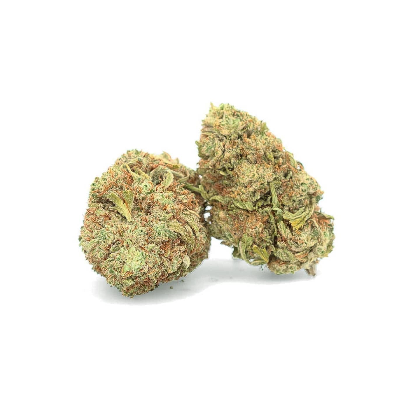 White Whale - Fleur de CBD - Easy Weed