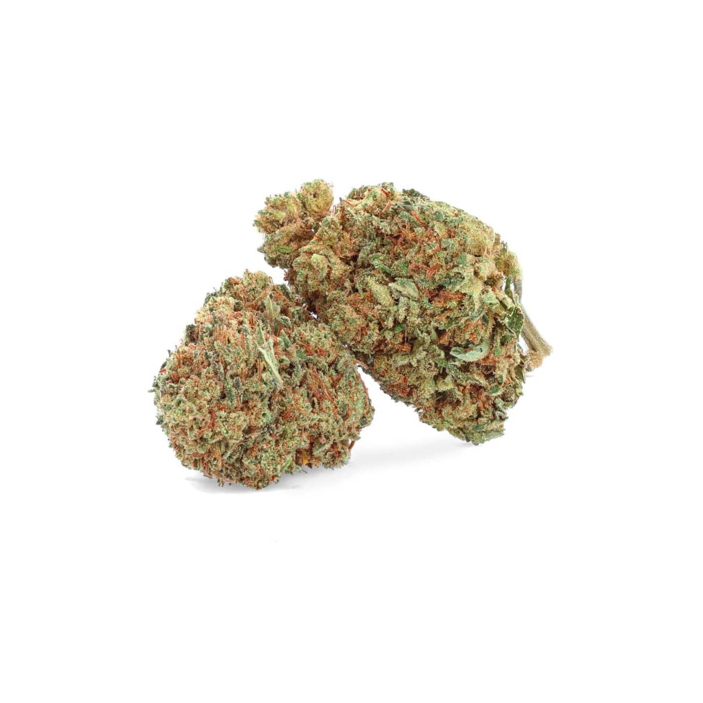 Banana Kush Indoor Hydroponique