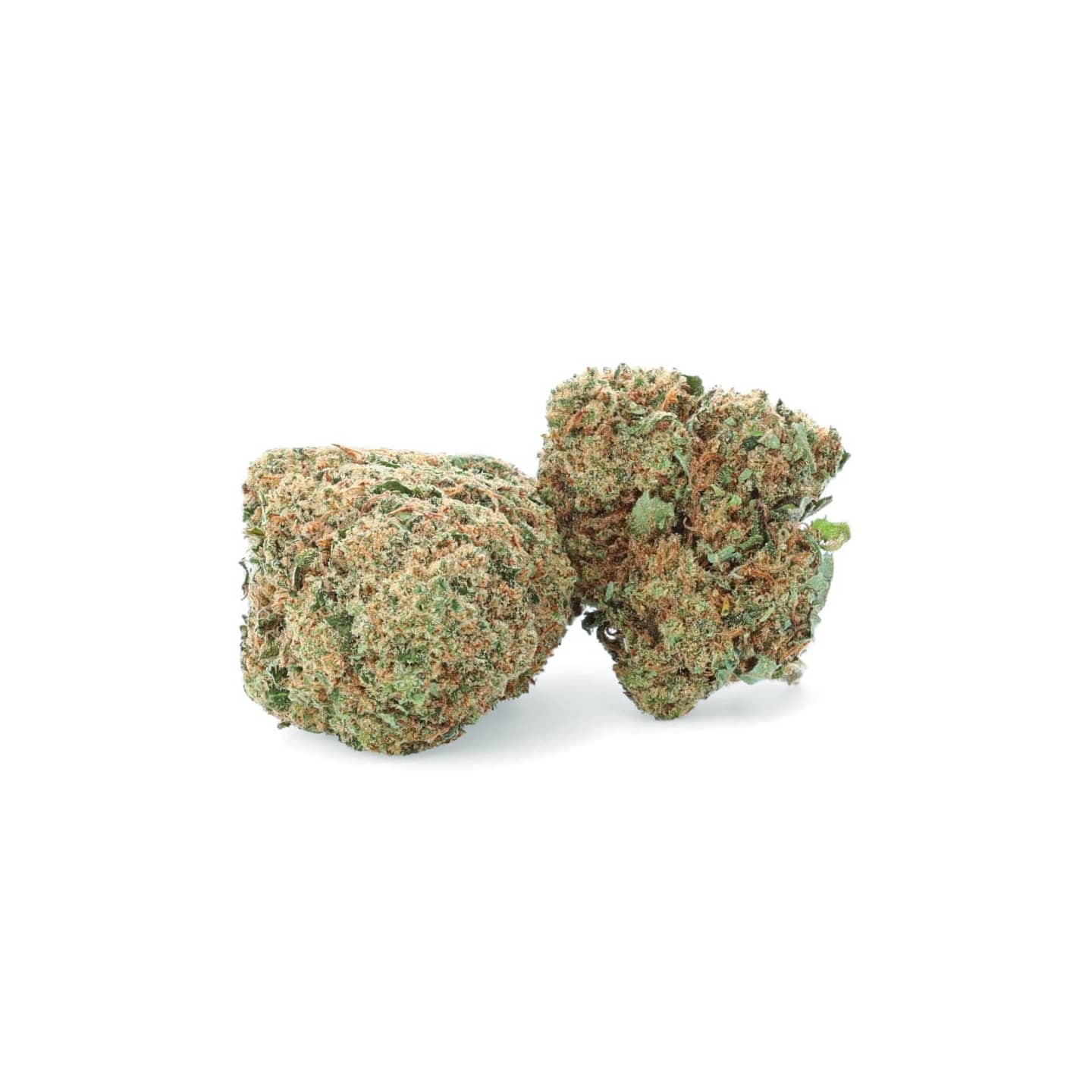 Harlequin - Fleur CBD - Weedy