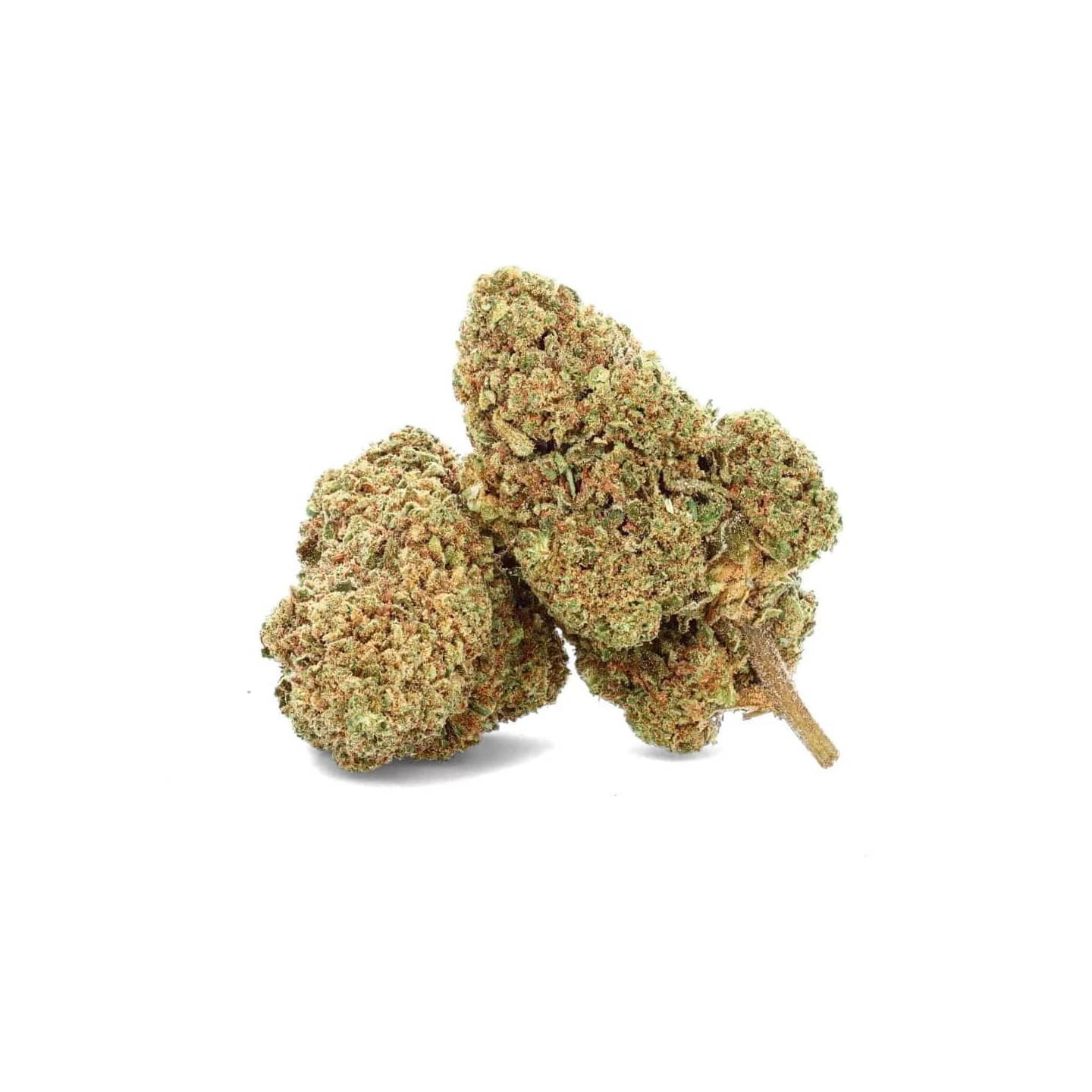 Gorilla CBD - Fleur CBD - Weedy