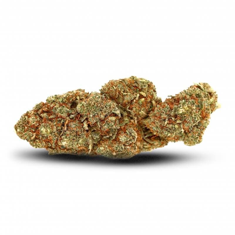 Og Kush CBD