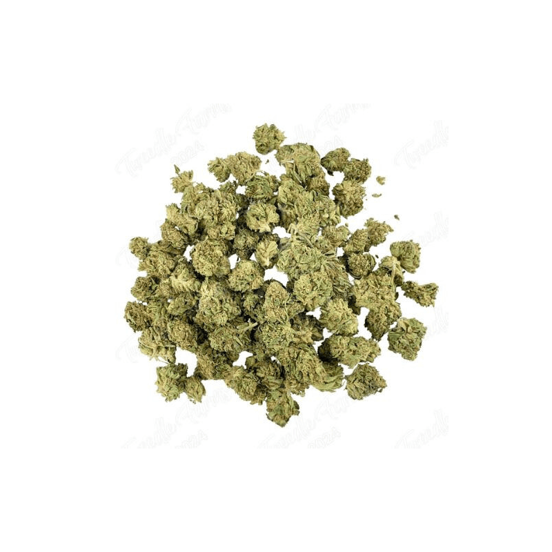 Cheetah Piss CBD - Small Buds