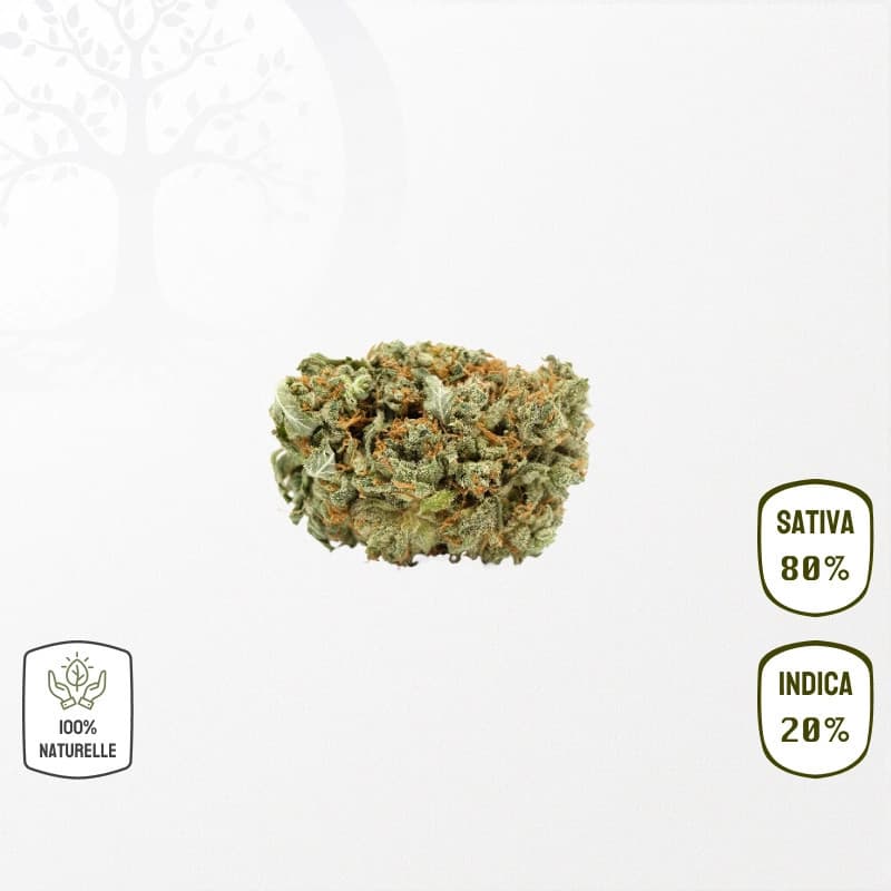 GrapeFruit CBD
