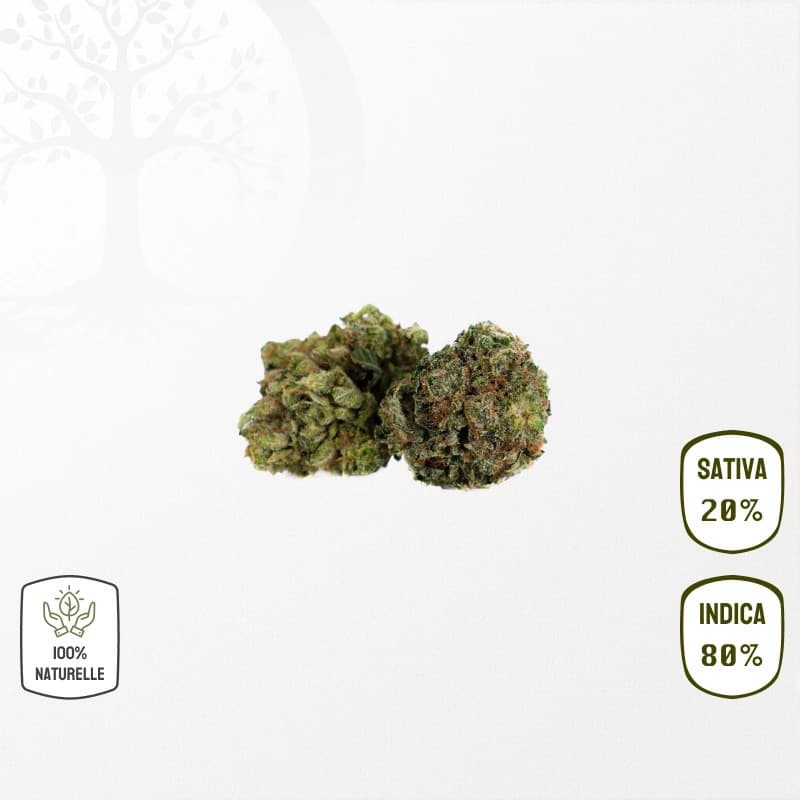 BZ1 CBD