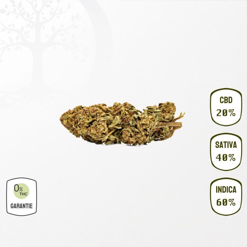 Lemon Berry 20 % CBD (Sans THC)