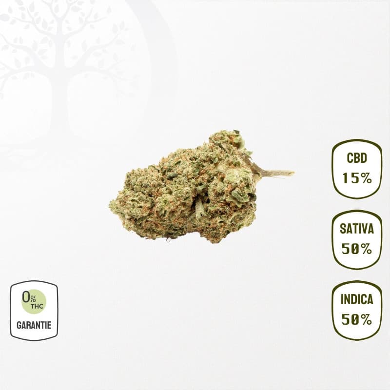 Jack Herer 15 % CBD (Sans THC)