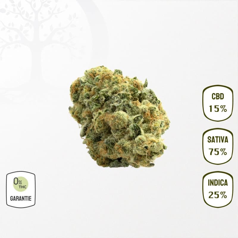 Amnesia 15 % CBD (Sans THC)