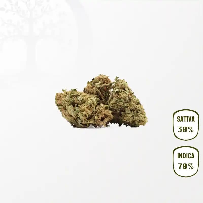 Slurricane CBD