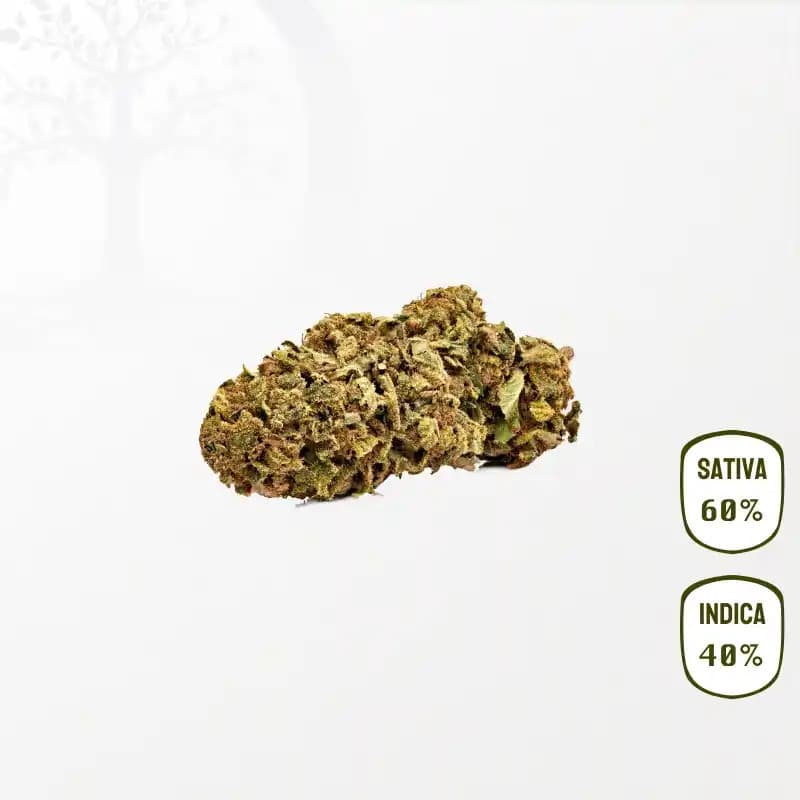 Cereal Milk CBD