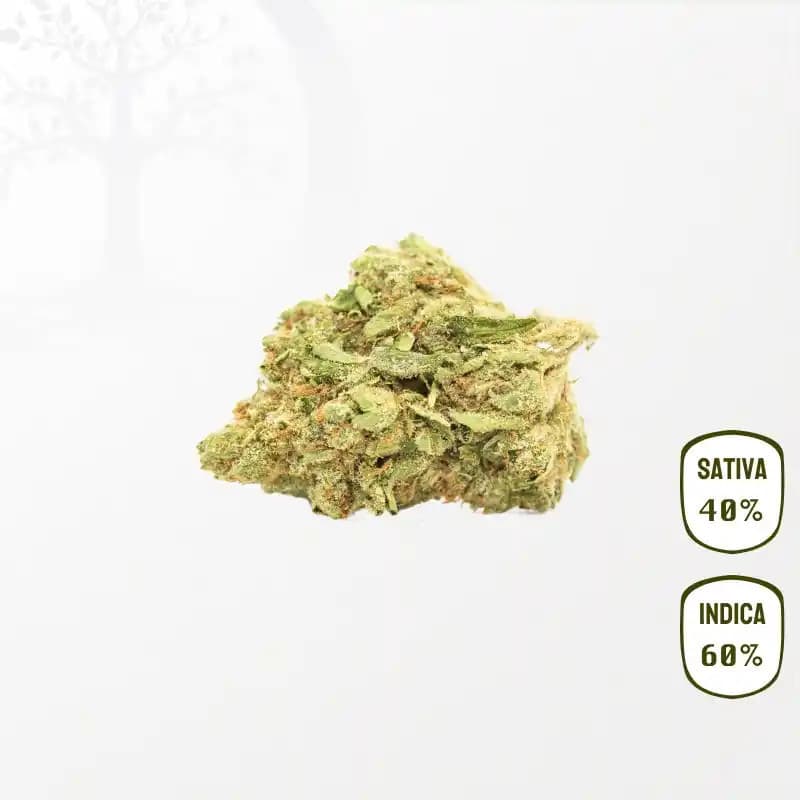 Platinum Cookies CBD
