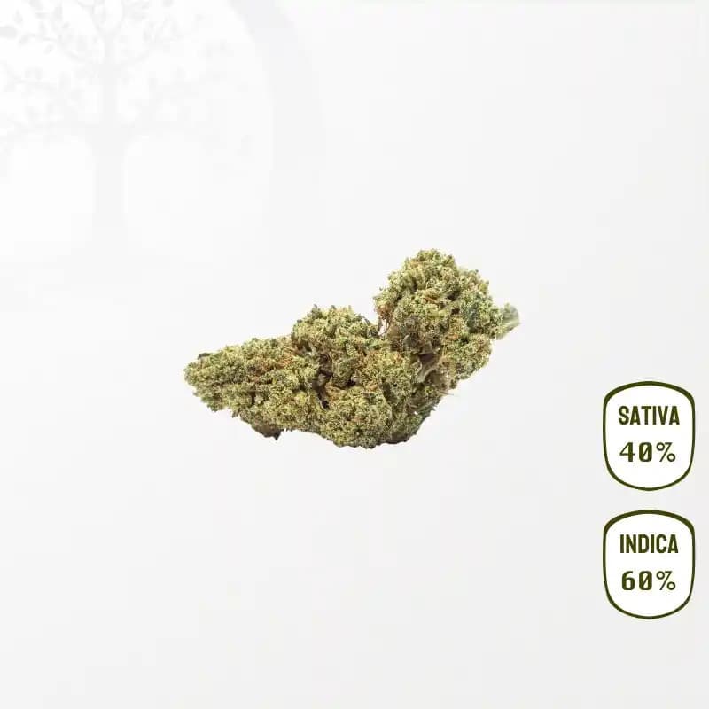 Banana Smash CBD 25 grammes