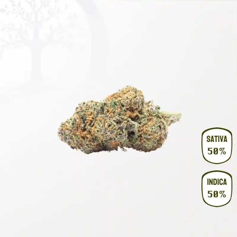 White Frost CBD
