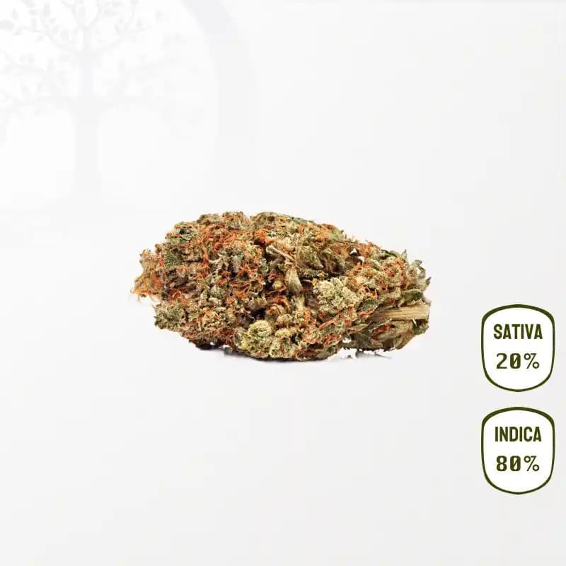 White Widow Haze CBD