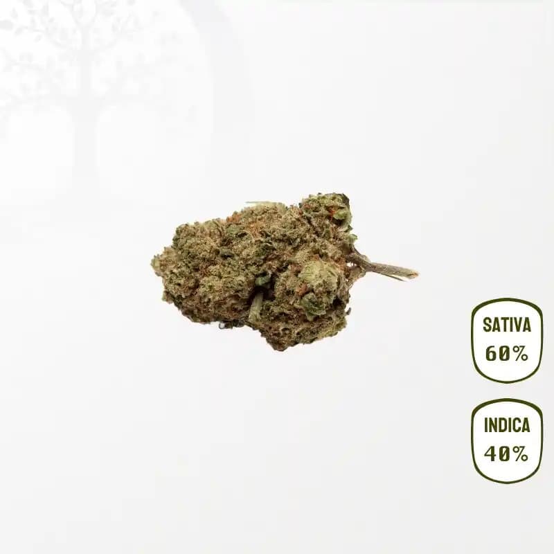 Lemon Candy CBD