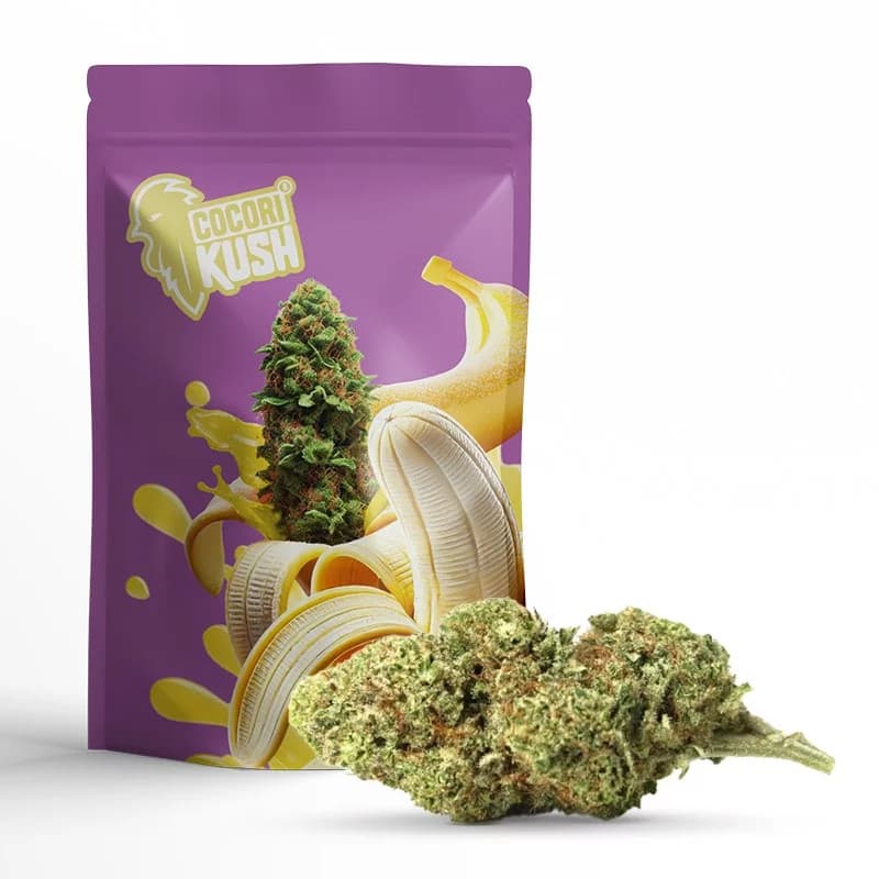 BANANA KUSH FLEUR COCORIKUSH CBD | Sixty8
