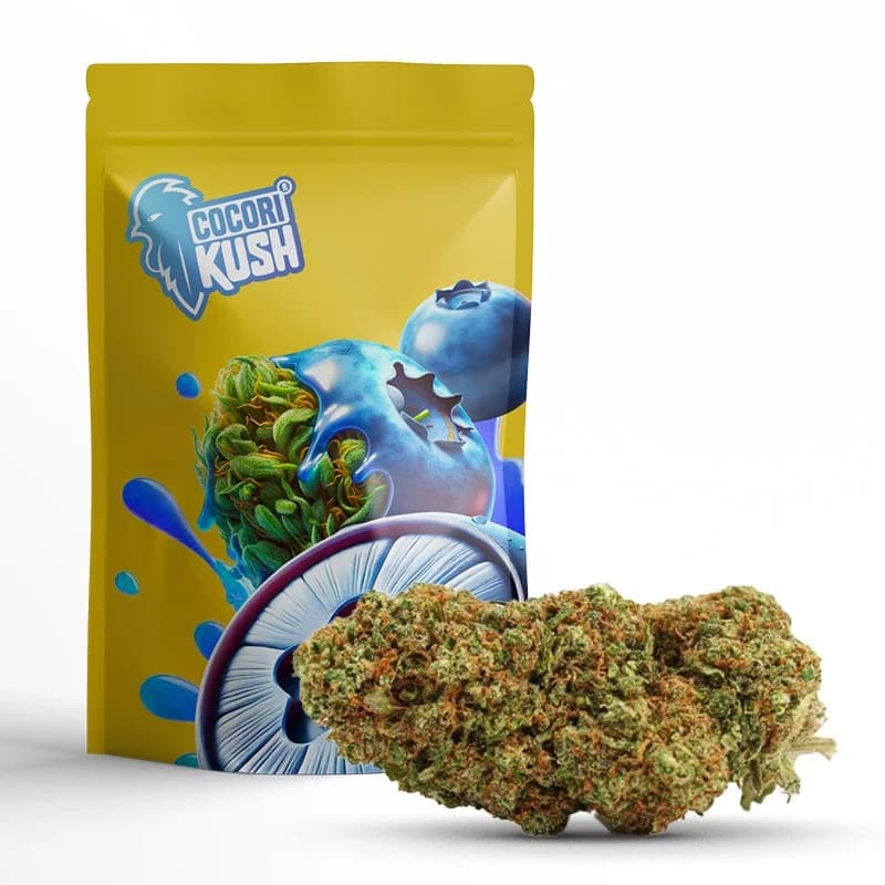 BLUEBERRY MUFFIN FLEUR COCORIKUSH CBD en ligne | Sixty8