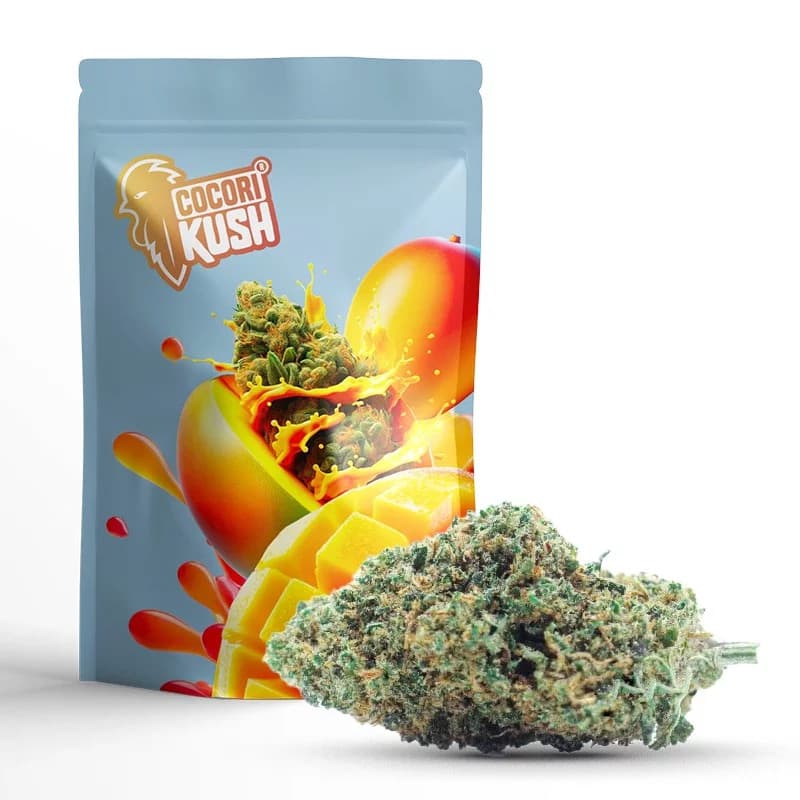 GELATO FLEUR COCORIKUSH CBD en ligne | Sixty8