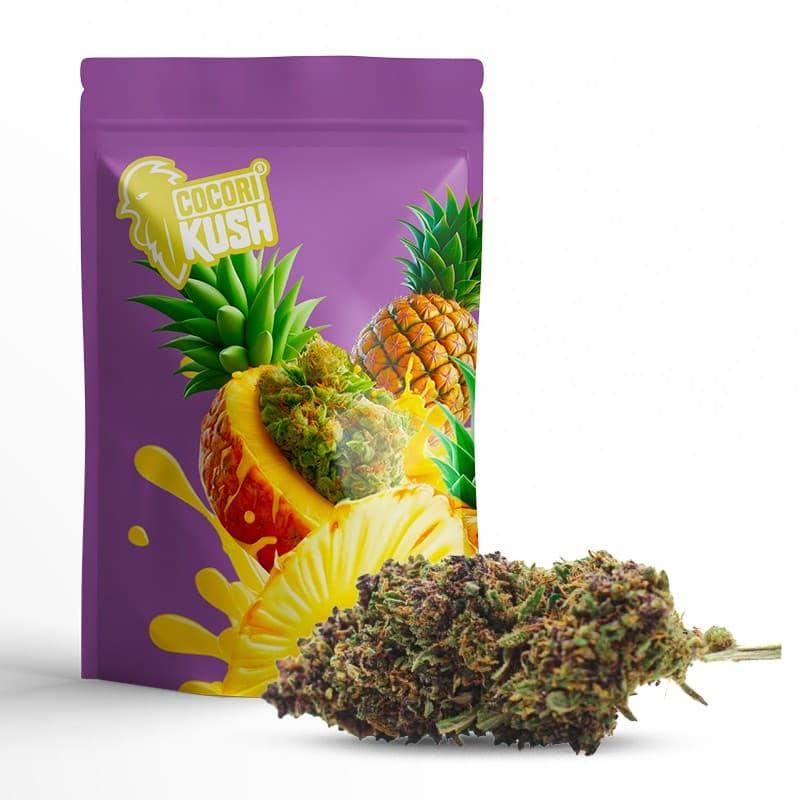 PURPLE PUNCH FLEUR COCORIKUSH CBD : Fleurs premium | Sixty8