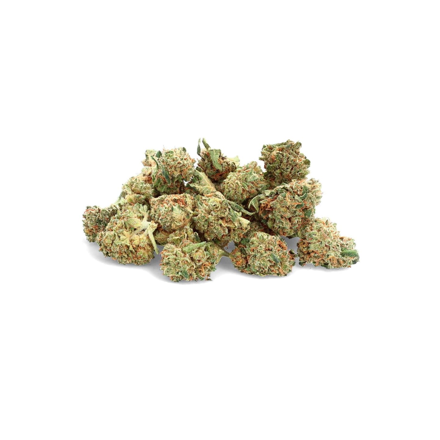Harlequin - Fleur de CBD - Ivory