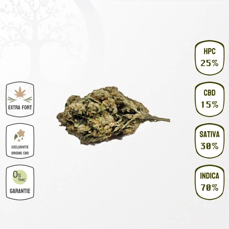 Mango Kush 15 % CBD & 25 % HPC (Sans THC)