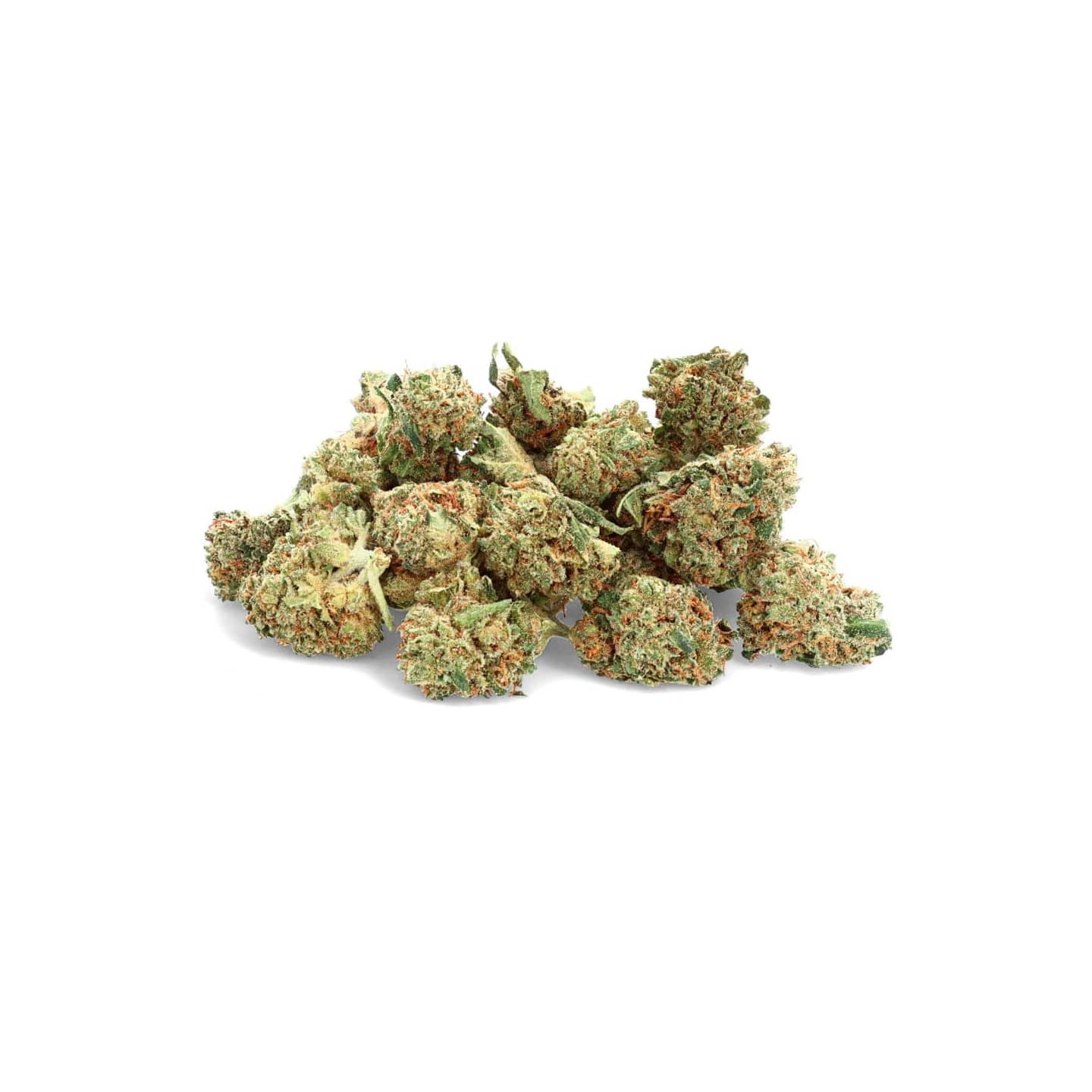 Harlequin - Fleur de CBD - Ivory