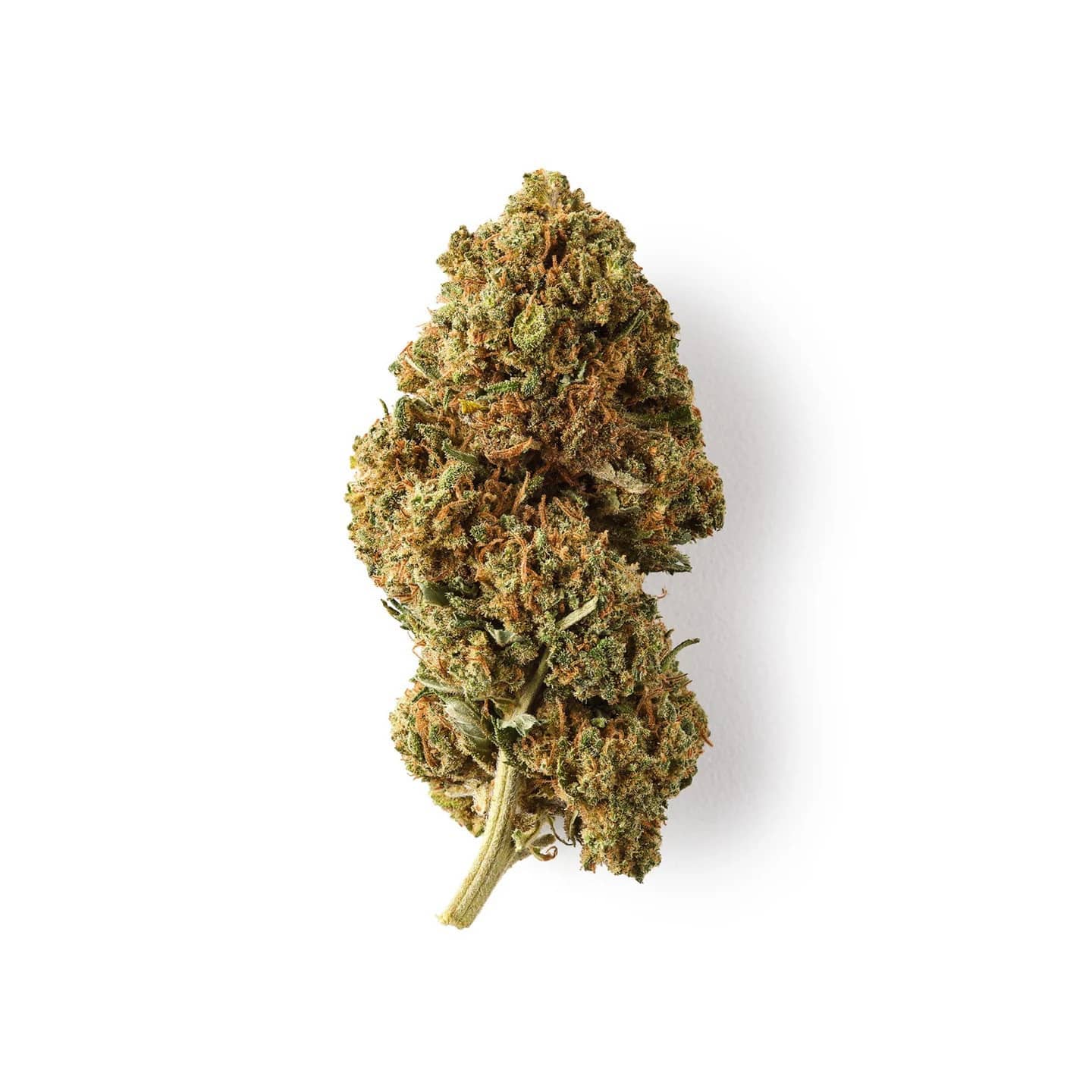 AK47 Fleur CBD Easy Weed – Buds 14% Made in France | Weedy.fr